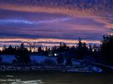 8827 Carnie Rd - Photo 45