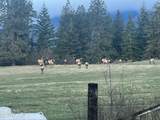 8827 Carnie Rd - Photo 49