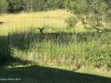 8827 Carnie Rd - Photo 50