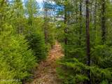49 Zig Zag Way - Photo 54