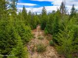 49 Zig Zag Way - Photo 55