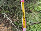 39 Pearl Creek Rd - Photo 46