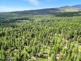 528 Trapper Creek Rd - Photo 47
