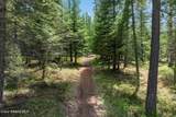 335 Tamarack Ln - Photo 49