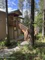 335 Tamarack Ln - Photo 53