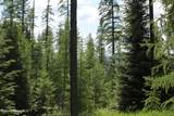 NNA Smugglers Lane - Tract 5 - Photo 7