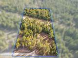  Nka Pine Meadow - Photo 1