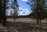 NNA Ponderesa Ranch Rd - Photo 10