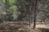 NNA Ponderesa Ranch Rd - Photo 18