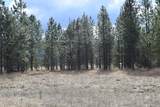 NNA Ponderesa Ranch Rd - Photo 21
