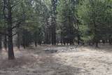 NNA Ponderesa Ranch Rd - Photo 22