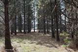 NNA Ponderesa Ranch Rd - Photo 25