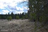 NNA Ponderesa Ranch Rd - Photo 29