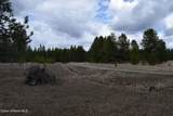 NNA Ponderesa Ranch Rd - Photo 32