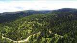 NKA 640 AC Pack Creek Road - Photo 2