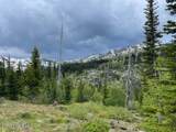 N 320 AC Shoot Creek Road - Photo 11