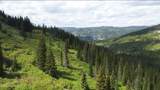 N 320 AC Shoot Creek Road - Photo 22