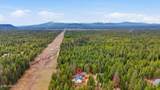 10245 Bunco Rd - Photo 65