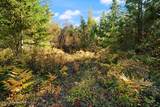 NNA Sunsetter Lane Lot 3 - Photo 14