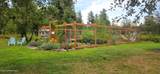 87 Rock Road - Photo 51