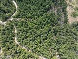 20 Acres Canoe Point Rd - Photo 12
