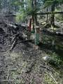 20 Acres Canoe Point Rd - Photo 23