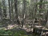 20 Acres Canoe Point Rd - Photo 24