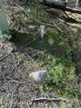 20 Acres Canoe Point Rd - Photo 25