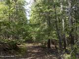 20 Acres Canoe Point Rd - Photo 30