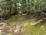 20 Acres Canoe Point Rd - Photo 31