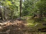 20 Acres Canoe Point Rd - Photo 32
