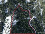 20 Acres Canoe Point Rd - Photo 33