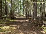 20 Acres Canoe Point Rd - Photo 8