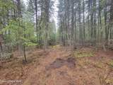  Nka Terry Trail - Photo 10
