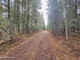  Nka Terry Trail - Photo 11