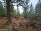 Nka Terry Trail - Photo 4