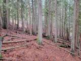  Nka Terry Trail - Photo 5