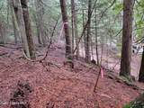  Nka Terry Trail - Photo 6