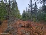  Nka Terry Trail - Photo 7