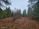  Nka Terry Trail - Photo 8