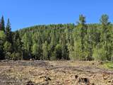  Nna Old Highway Two Loop - Photo 6