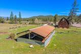 4610 Kelso Lake Rd - Photo 11