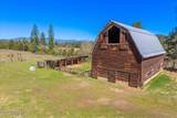 4610 Kelso Lake Rd - Photo 19