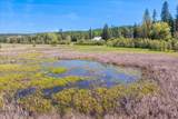 4610 Kelso Lake Rd - Photo 29