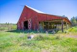 4610 Kelso Lake Rd - Photo 34