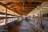 4610 Kelso Lake Rd - Photo 44