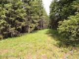 NKA Antler Ln - Photo 4