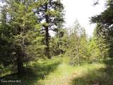 NKA Antler Ln - Photo 5
