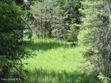 NKA Antler Ln - Photo 7