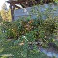 55 Trotter Ln - Photo 72